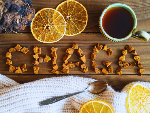 Health Benefits of Chaga Mushroom Tea